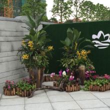 綠化植物租賃 為現代空間注入自然活力